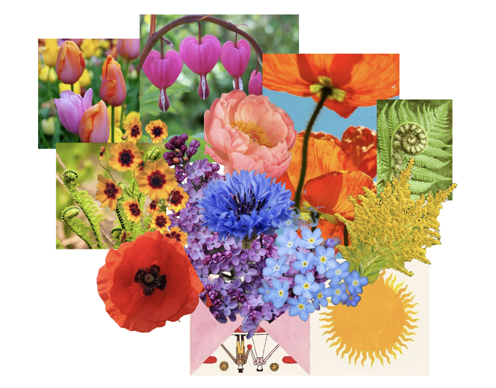A moodboard of spring flowers in poppy red, lilac purple, forget-me-not blue, and sunflower yellow.
